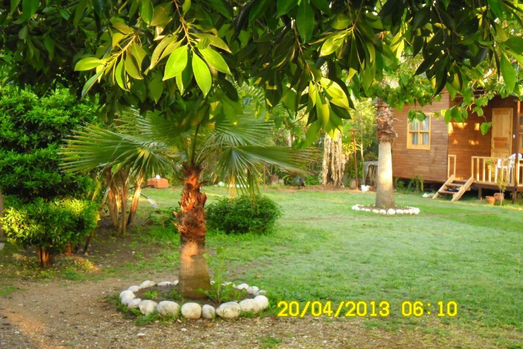 Cesur Pansiyon Hotel Çıralı Phòng bức ảnh