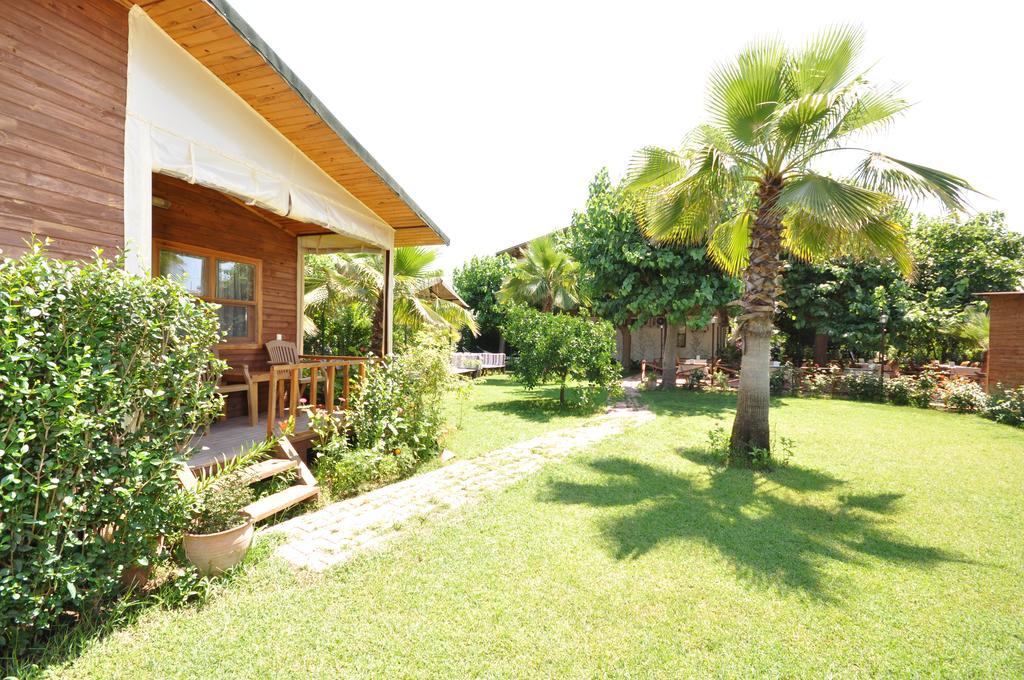 Cesur Pansiyon Hotel Çıralı Ngoại thất bức ảnh
