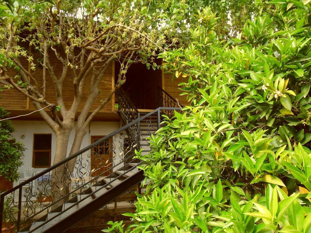 Cesur Pansiyon Hotel Çıralı Ngoại thất bức ảnh